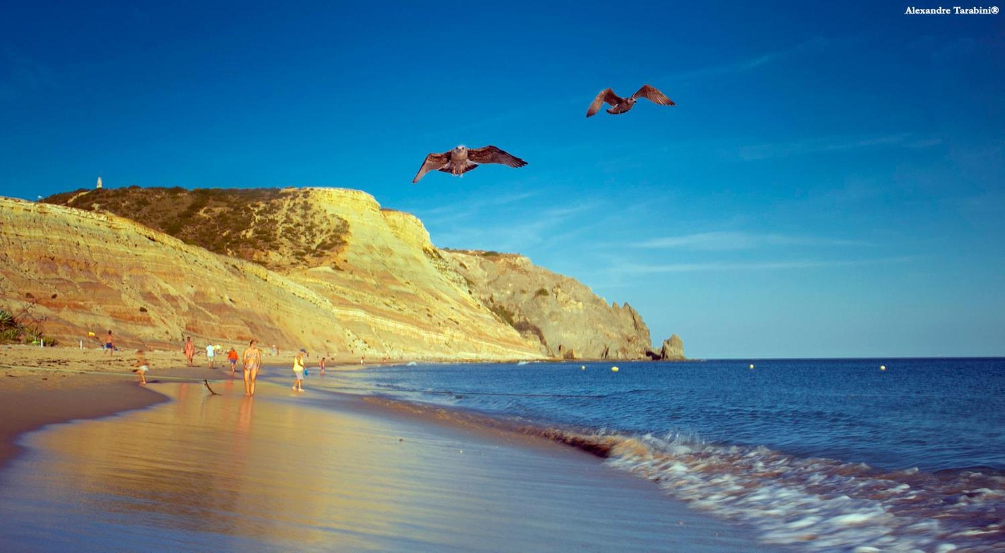 Akisol Apartments In Burgau 부덴스 외부 사진